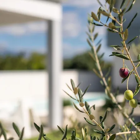 Casa vacanze Ferienhaus Zur Alleinnutzung Mit Pool, Whirlpool, Klimaanlage, Internet Und Balkon Fur 8 Personen